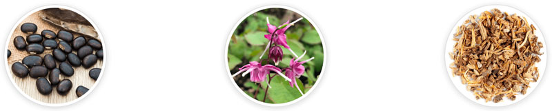 Quietum Plus ingredients